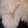Genuine UGG slippers Image 8