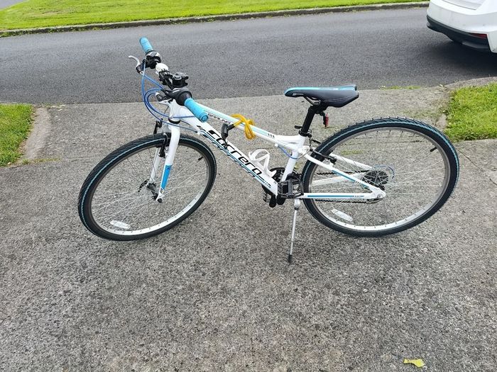Ladies Bike
