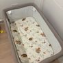 chicco Next2me Image 3