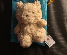Jellycat bartholmew bear