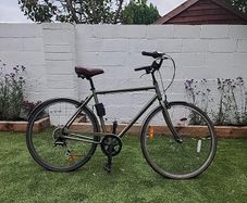Electra Bike Loft 7D  (Large and Khaki Green)