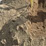 Screened quality topsoil Image 4