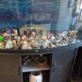 aquarium Image 3