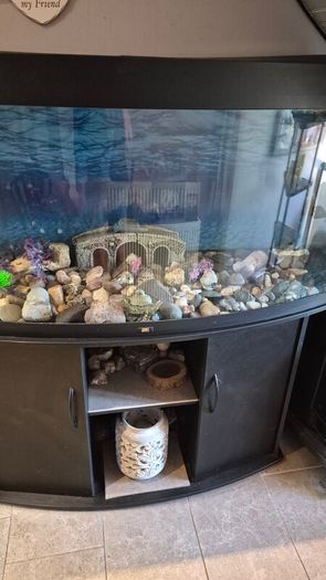 aquarium