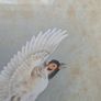 Pair Of Vintage Asian Bird Paintings Signed And Framed 45 x 52 cm Image 3