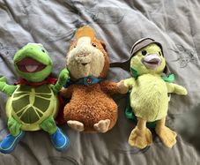 Wonderpets