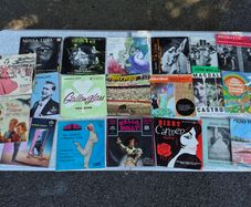 20 small Vinyl records