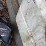 Free fiberglass board Image 4