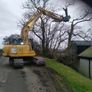 Tree shear saw head and mulcher hire Image 10