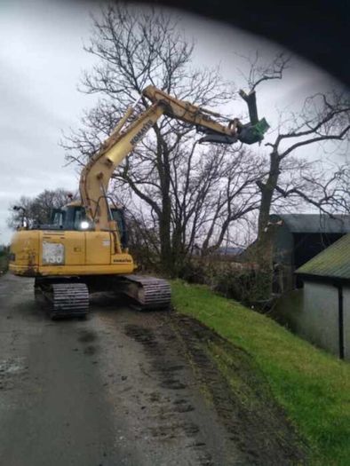 Tree shear saw head and mulcher hire