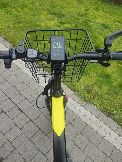 Ovivo V2 Pro E-Bike_5 Months Old