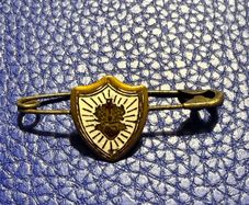 Antique  Sacred Heart Brooch