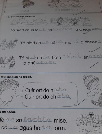 Fallons vintage Gaeilge books
