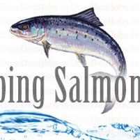 Leaping Salmon Bar Jobs in Ireland