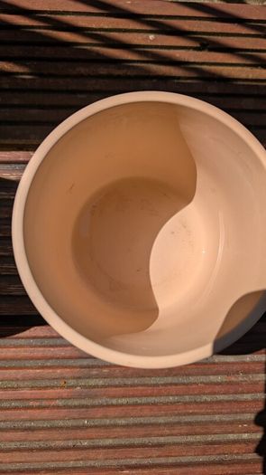 Flower Pot