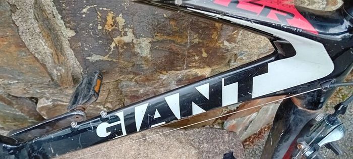 Giant Tcr Carbon Frame Swap/trade
