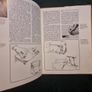 Pebble polishing and pebble jewellery .Hardcover  .1973 Image 7