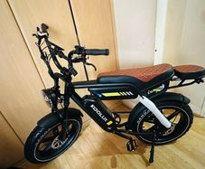 Electric bike