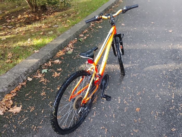 Team Kids Bicycle