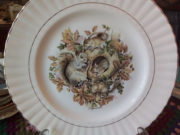 Rosewood China Collectors Plate With Squirrels
