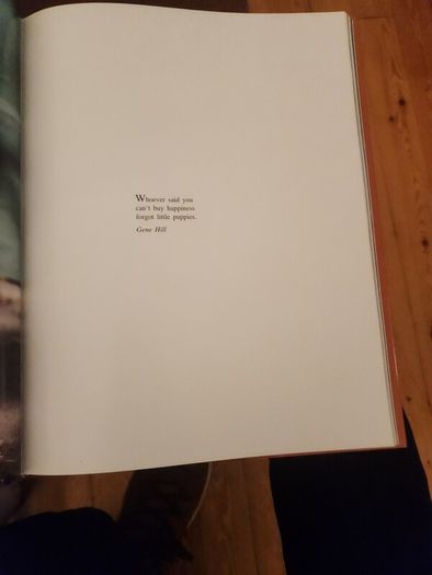 Just Dogs. A Literary & Photographic Tribute To The Great Hunting Breeds. First Edition Large Volume Hardback With Dustjacket In Very Good Condition. 36.