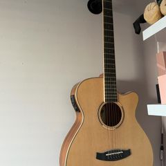 tanglewood discovery electro acoustic guitar