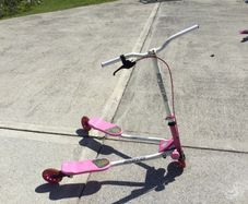 FREE pink flicker