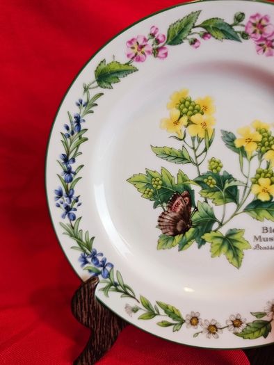 Royal Worcester Herbs Dinnerware , Set of two Rosemary and Black Mustard plates