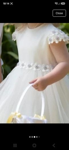 flower girl dress