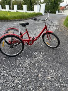 Adult Tricycle