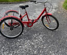 Adult Tricycle