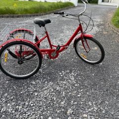 Adult Tricycle