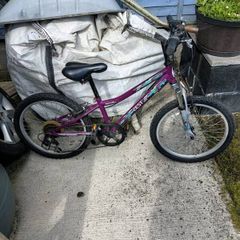 Kids 20inch Bike