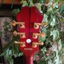 Epiphone EJ200 Coupe and fitted Epiphone case Image 9