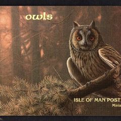 1997 Isle of Man Owls/ Hong Kong 97 Stamp Miniature Sheetlet Presentation Pack