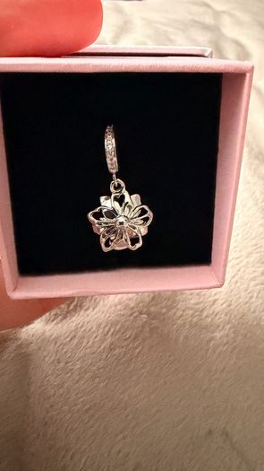 Pandora charm