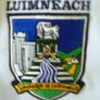 Limerick.  G.A.A.     Polo. Shirt Image 5