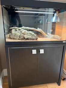 reptile set up