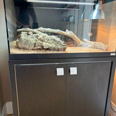 reptile set up