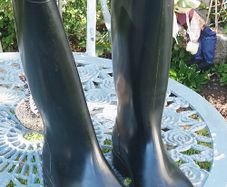 Wellingtons uk14
