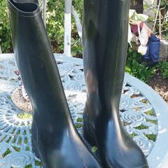 Wellingtons uk14