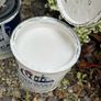 Paint and garden planter Image 2
