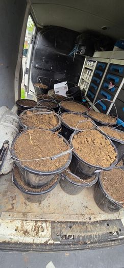 30 Buckets of good soil