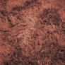 Red shaggy rug Image 4
