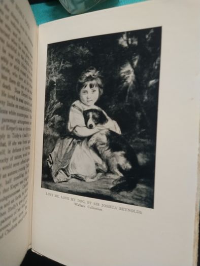 The Book of Noble Dogs - Estelle Ross