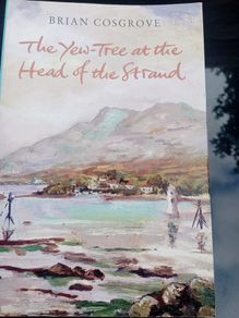 Newry - the Yew Tree at the Head of the Strand