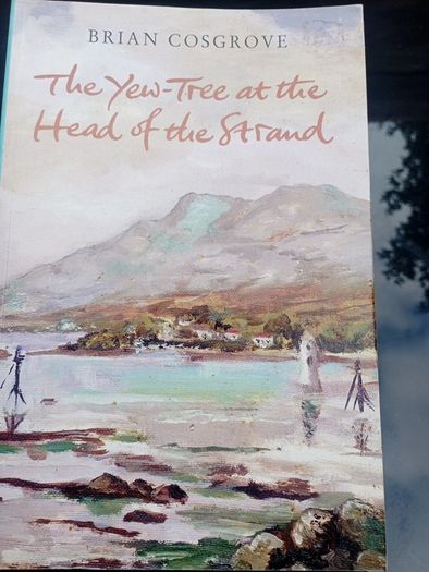 Newry - the Yew Tree at the Head of the Strand
