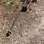 2 Blacksmith's Leg Vises Image 7