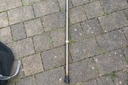walking stick