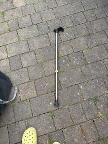 walking stick